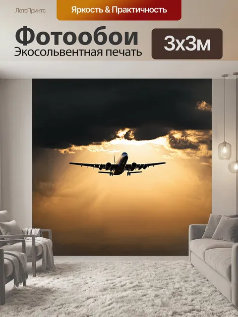 Фотообои приземляющийся самолет наполовину погружён в золотистые лучи заката