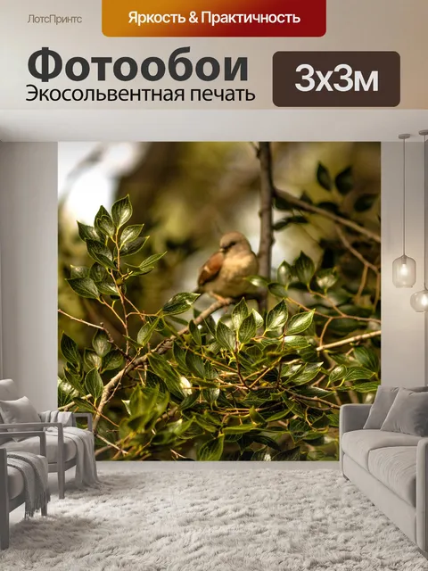 Фотообои Птица