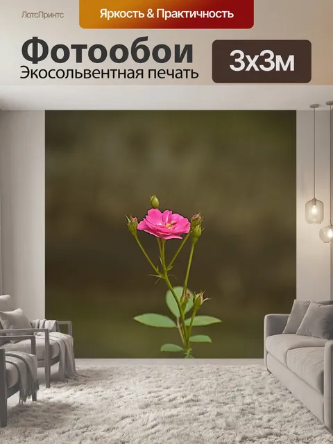Фотообои Цветок