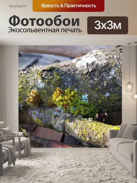 Фотообои Мох