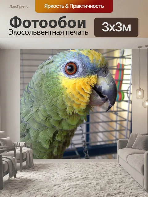 Фотообои Птица