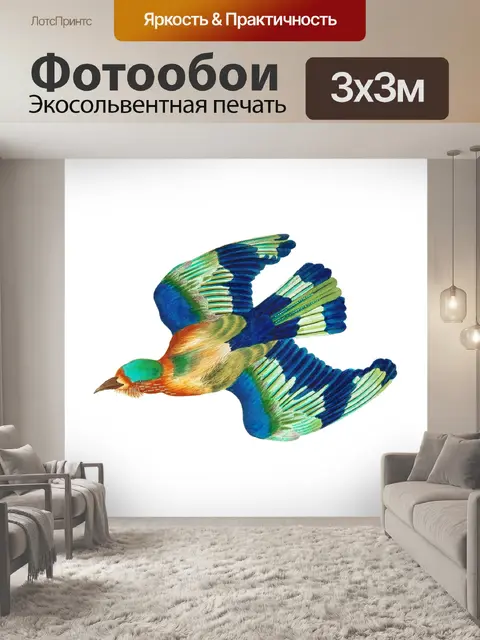 Фотообои Колибри птица старинное искусство