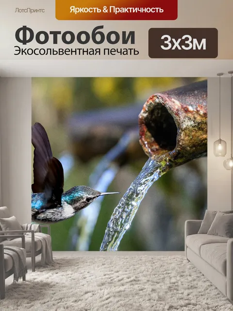 Фотообои Колибри