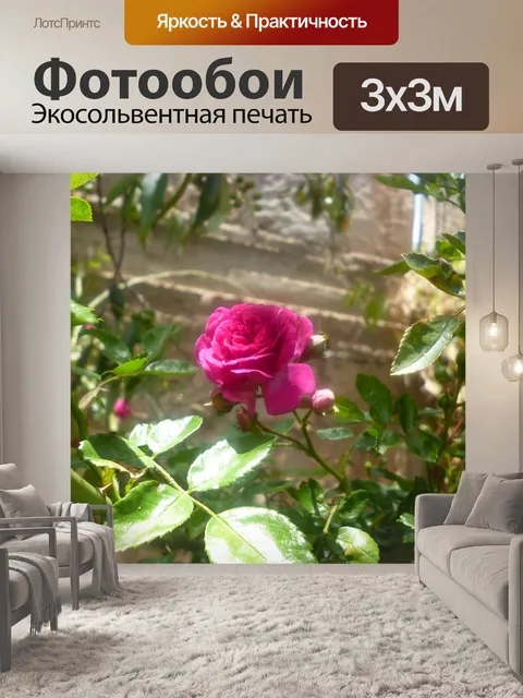 Фотообои Розы