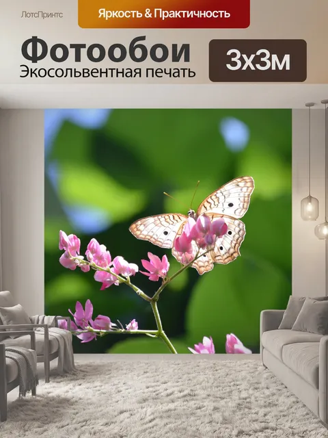 Фотообои Бабочка