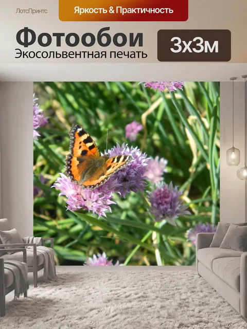 Фотообои Лето