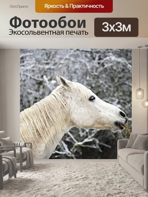 Фотообои Лошадь