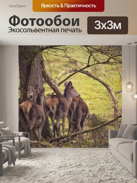 Фотообои олень