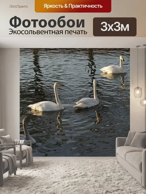 Фотообои Лебеди