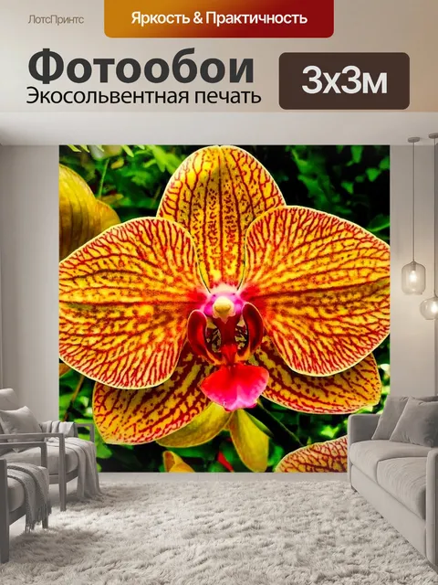 Фотообои Цветы