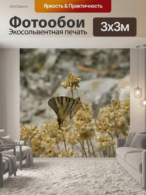 Фотообои Бабочка