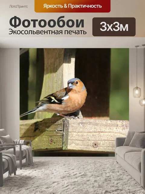 Фотообои Птица
