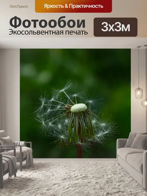 Фотообои Одуванчик
