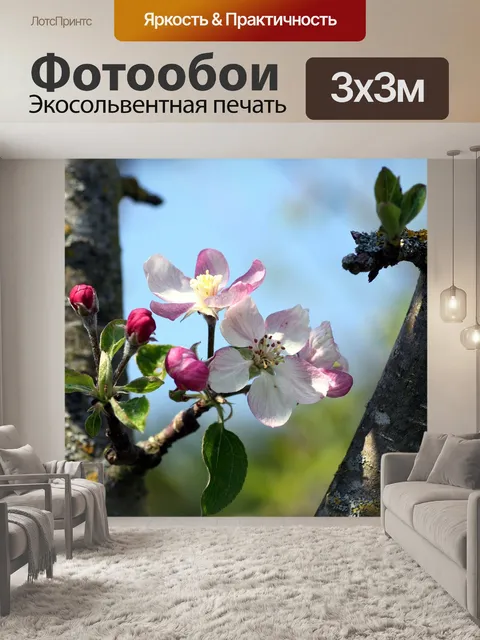 Фотообои Цветы