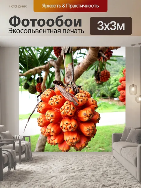 Фотообои Фрукты