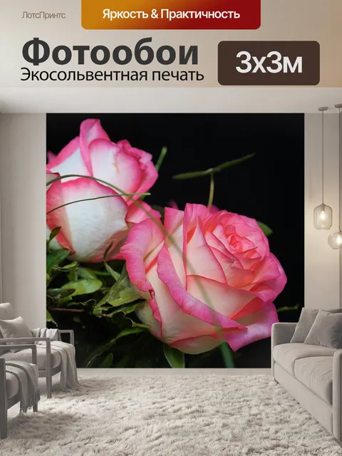Фотообои Розы