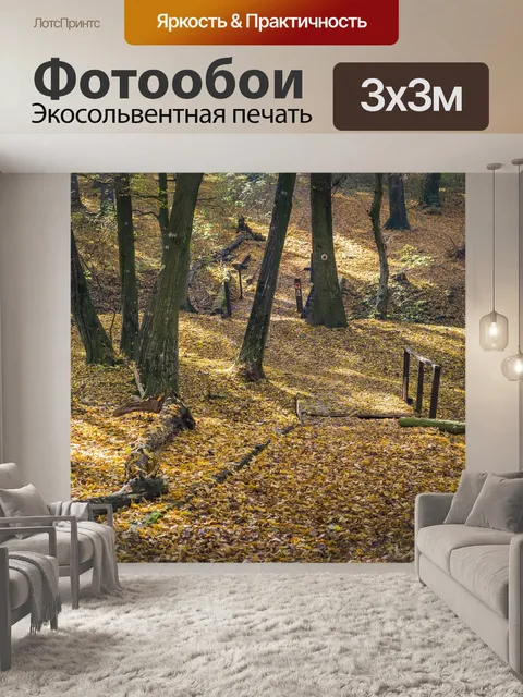 Фотообои Дорожка