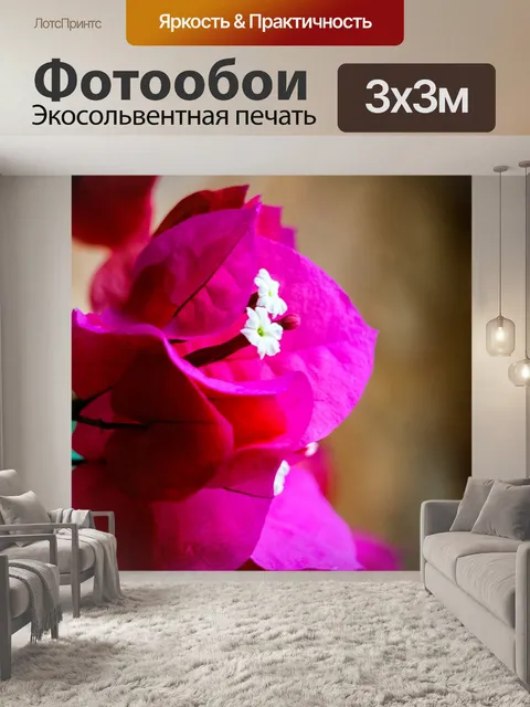 Фотообои Цветы