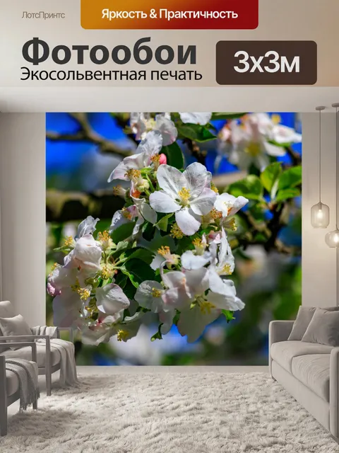 Фотообои Весенние цветы