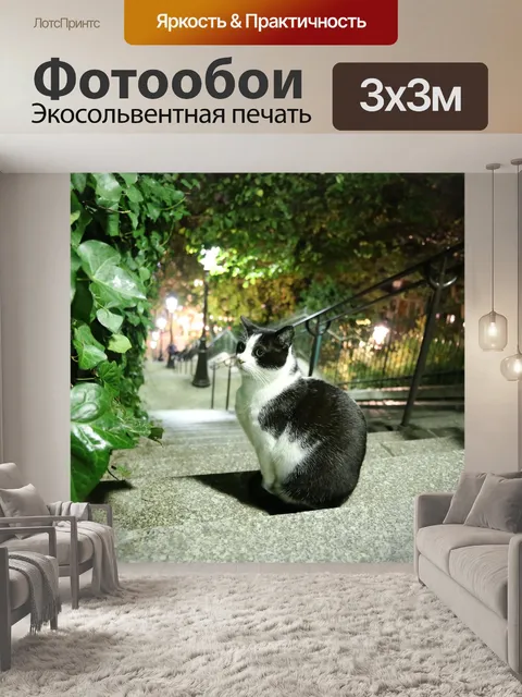 Фотообои Кошка