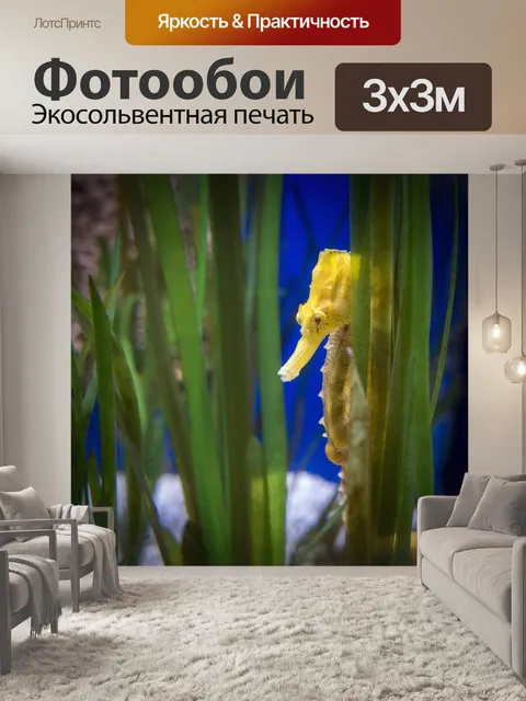 Фотообои Морской конек