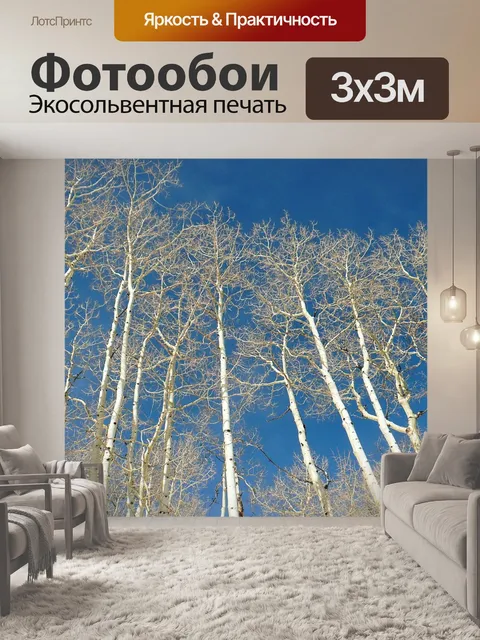 Фотообои Береза