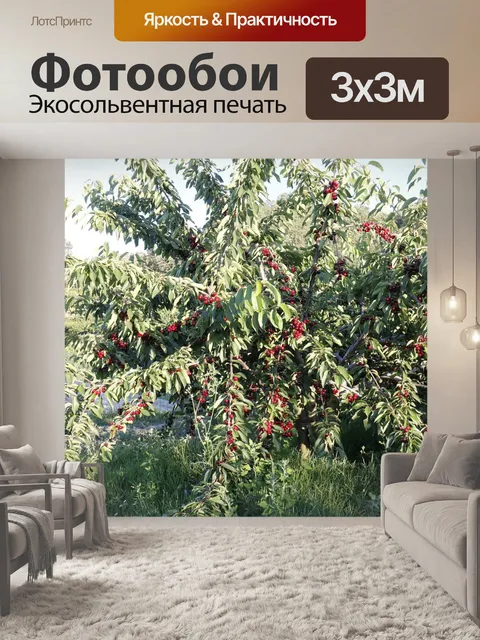 Фотообои Вишня