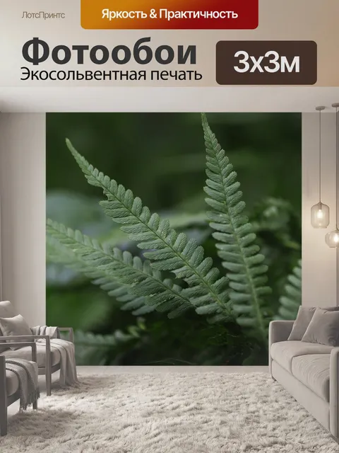 Фотообои Папоротник