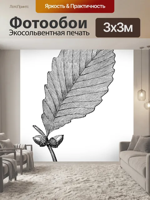 Фотообои Каштан Дуб