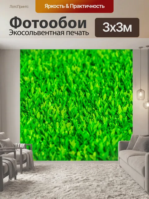 Фотообои Зеленые листья фон