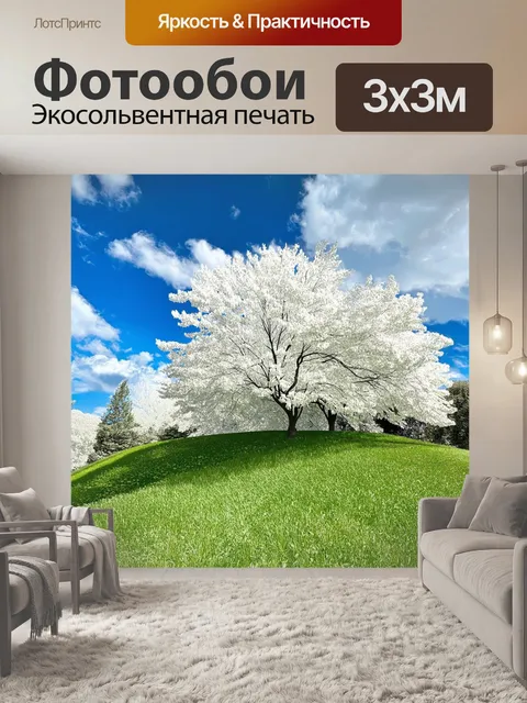Фотообои уютный уголок природы, где растут белые деревья с раскидистой кроной и ярко-зеленой травой внизу