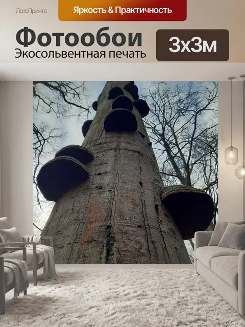 Фотообои Дерево с трутовиком
