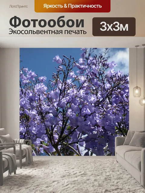 Фотообои Возвышенные папоротник Цветы