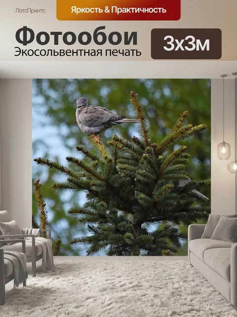 Фотообои Дерево