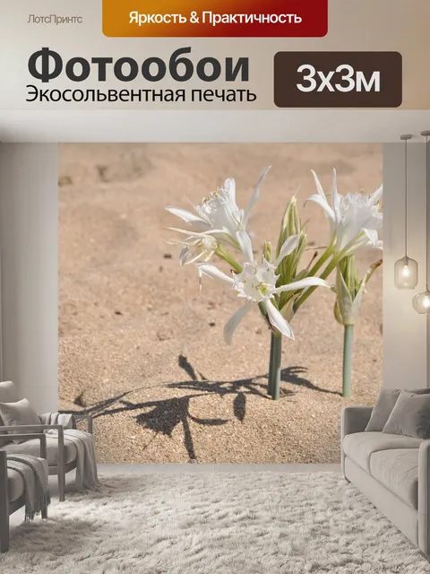 Фотообои Песок