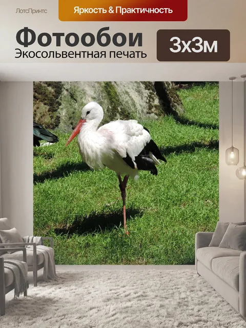 Фотообои Аист