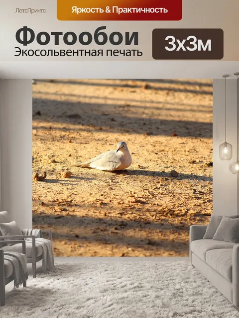 Фотообои Птица