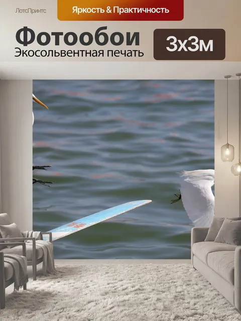 Фотообои Птица