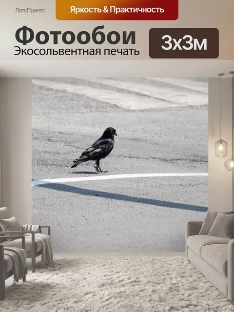 Фотообои Ворона на дороге