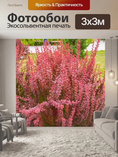 Фотообои Цветы