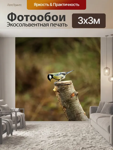 Фотообои Птица