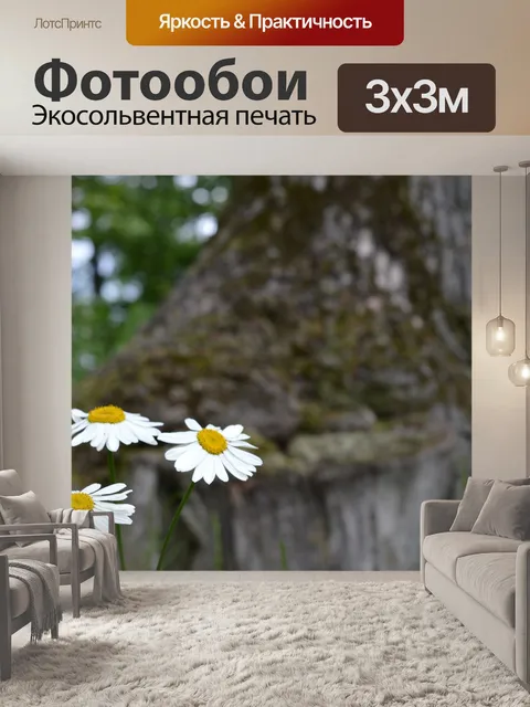 Фотообои Цветы
