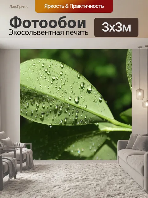 Фотообои Листья