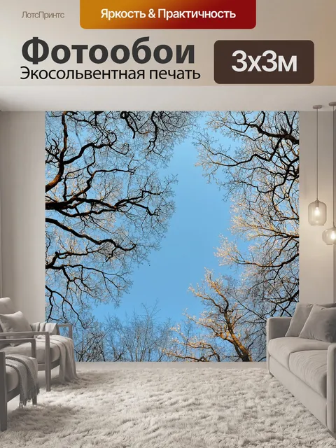 Фотообои Лес