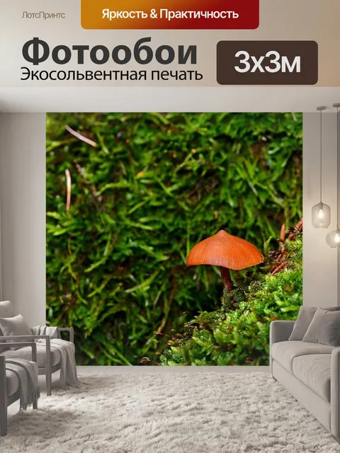 Фотообои Лес