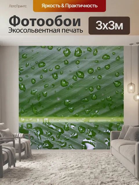 Фотообои капли воды зеленые тропические листья