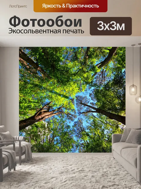Фотообои Деревья