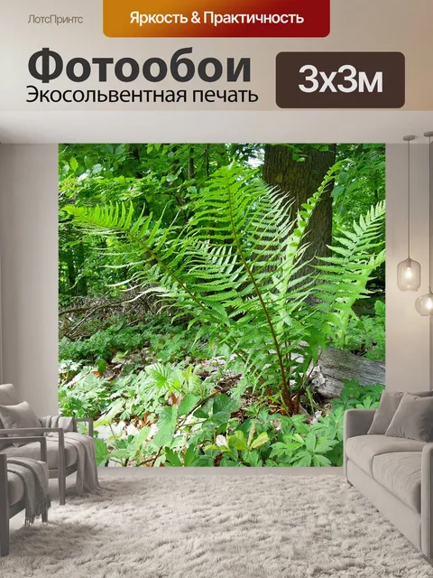 Фотообои Природа