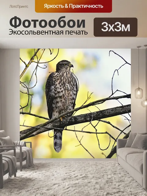 Фотообои Птицы
