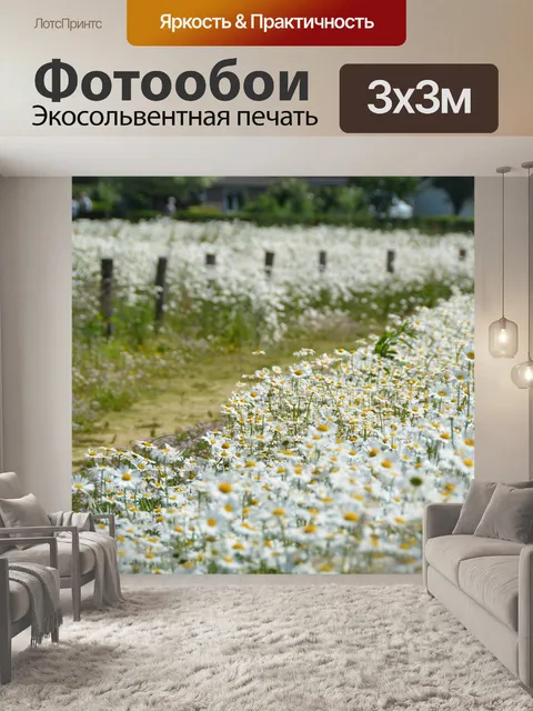 Фотообои Полевые цветы